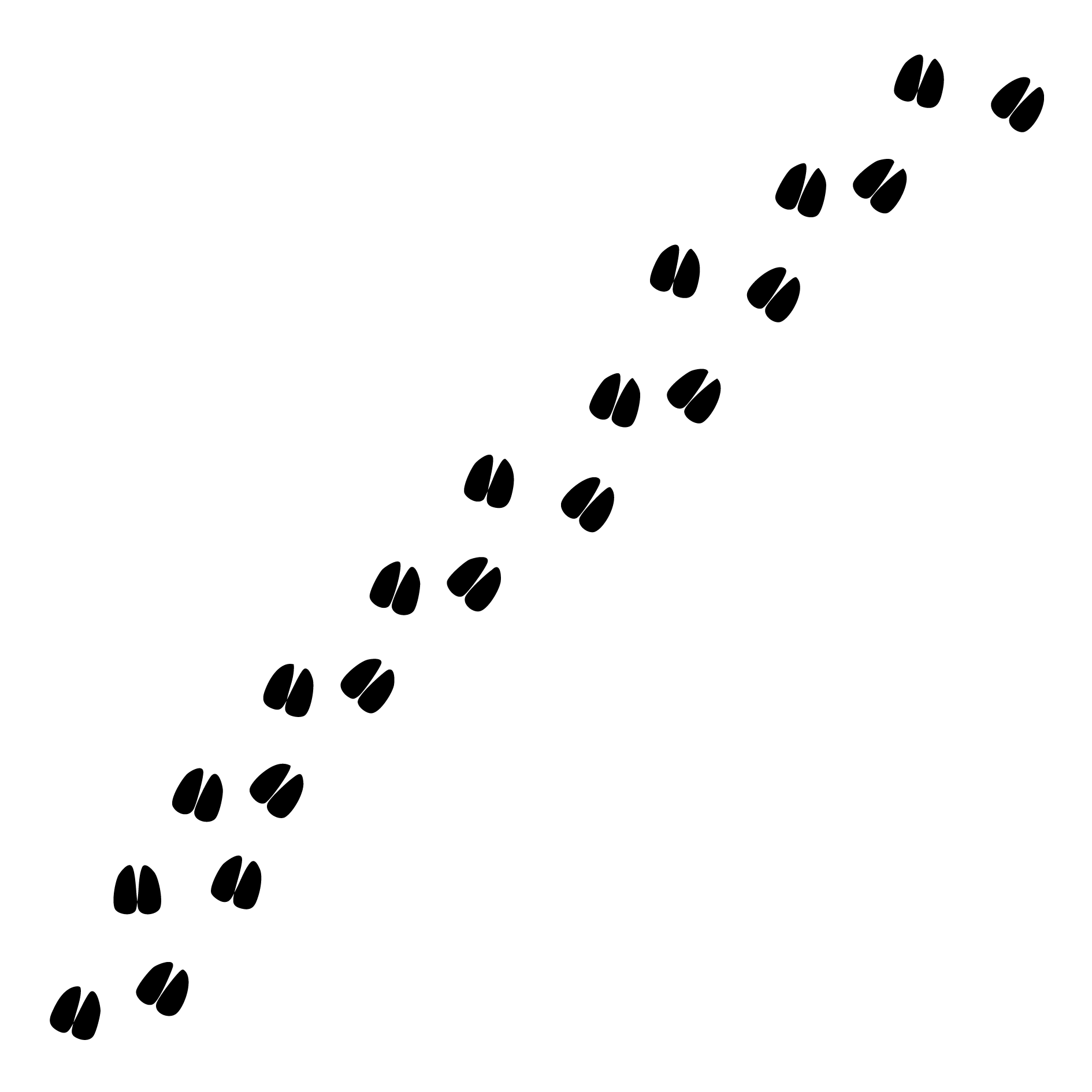 Schafspuren